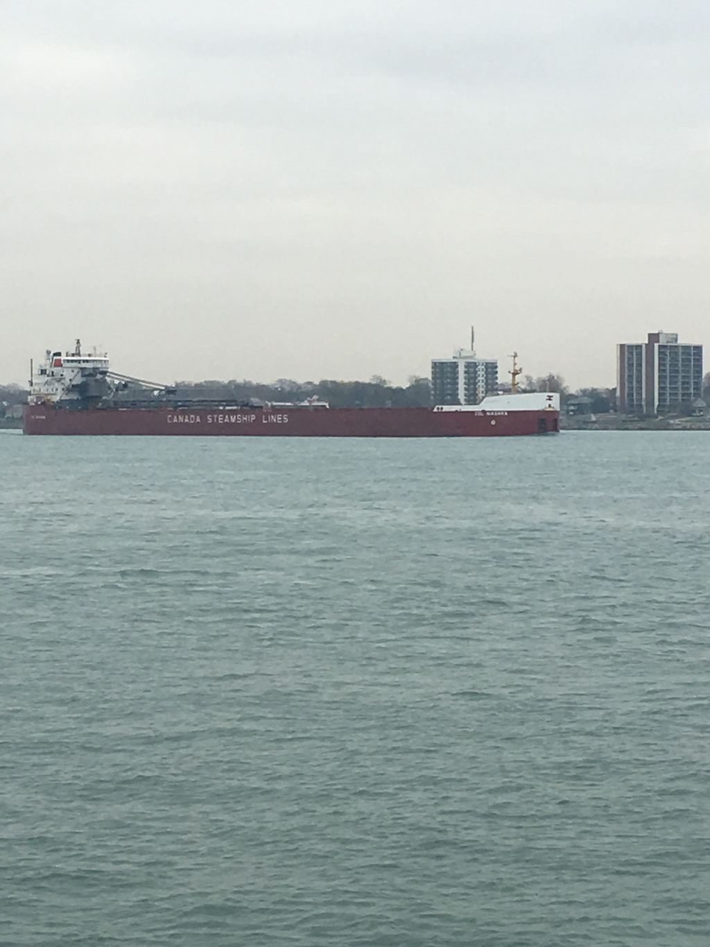CSL Niagara picture
