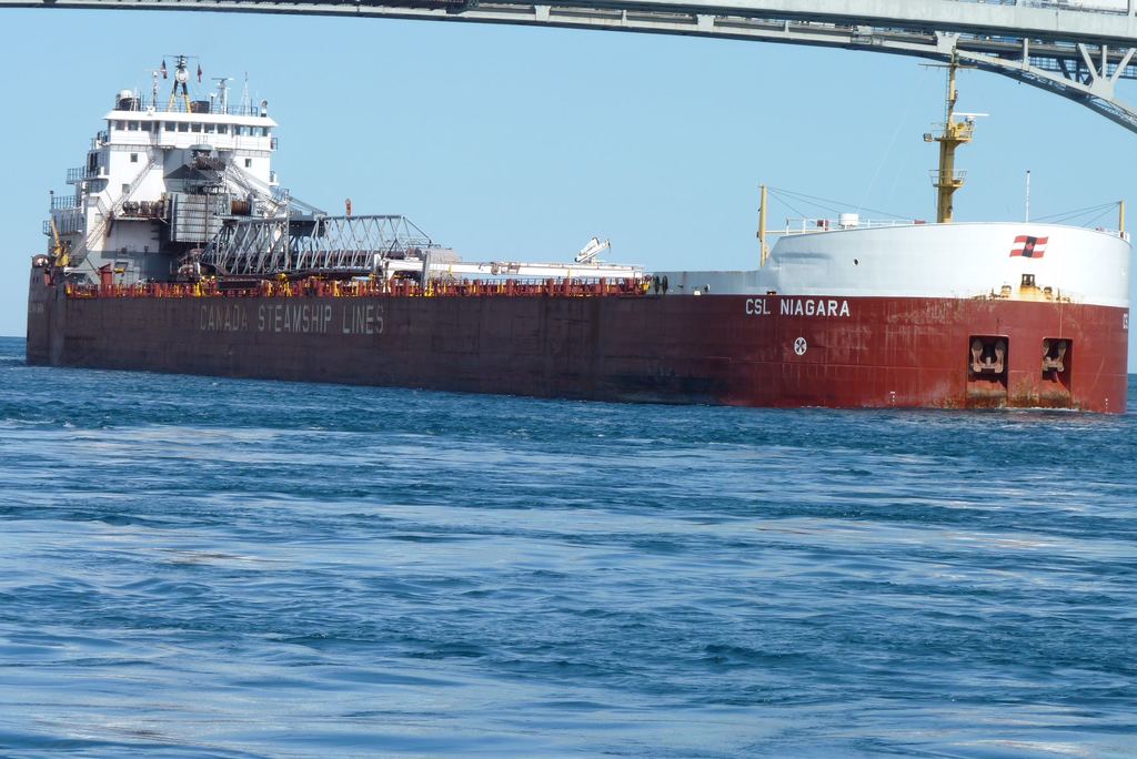 CSL Niagara picture